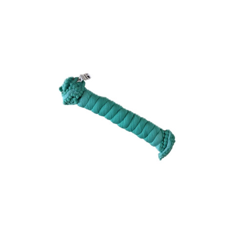 Chiffon Nazmin Bundi dupatta - RRC- Najmin Bundi - Light Sea Green